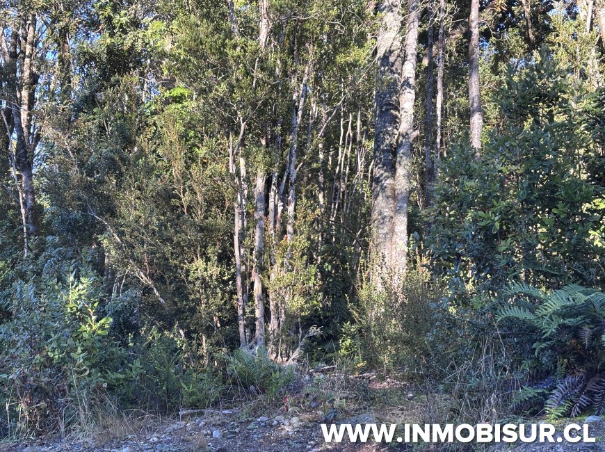 Venta en Puerto Montt | Hermosa parcela en Loteo Campomar, Carretera Austral.