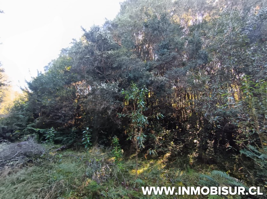 Venta en Puerto Montt | Hermosa parcela en Proyecto Pillan Mahuida, sector Polincay - Correntoso
