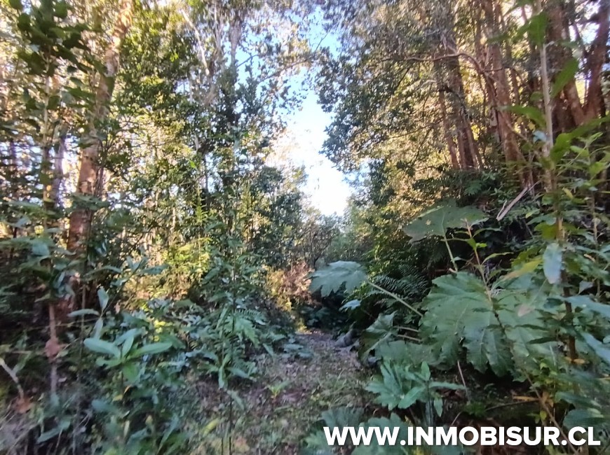 Venta en Puerto Montt | Hermosa parcela en Proyecto Pillan Mahuida, sector Polincay - Correntoso