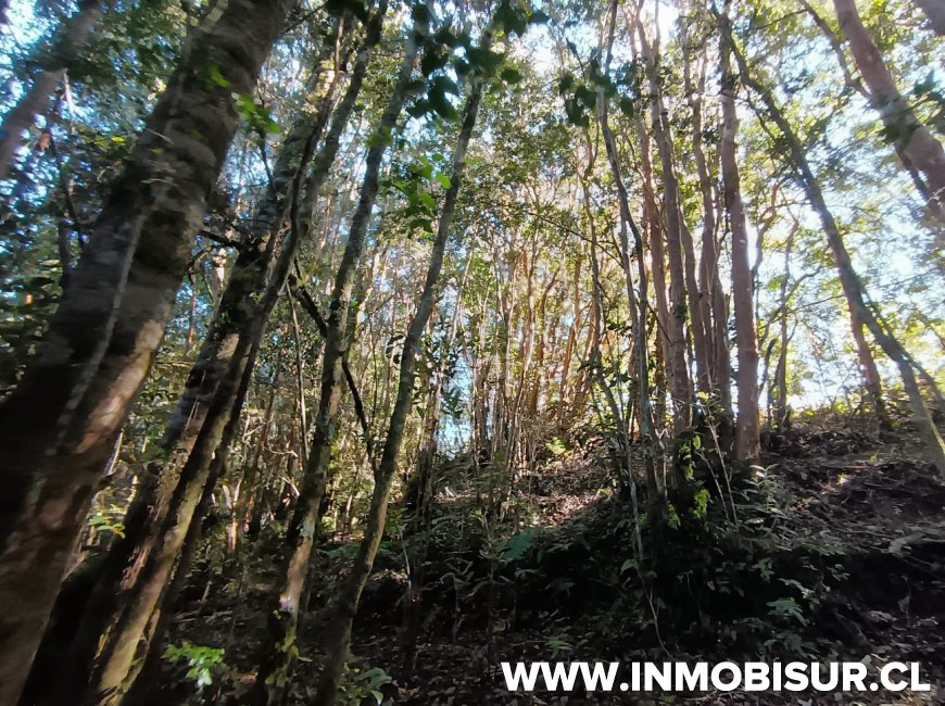 Venta en Puerto Montt | Hermosa parcela en Proyecto Pillan Mahuida, sector Polincay - Correntoso