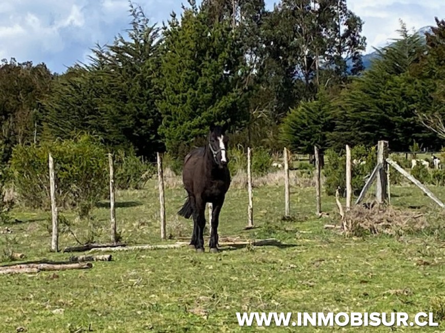 Venta en Cochamó | Hermosa parcela en Puelo