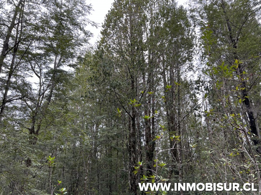 Venta en Puerto Varas | Hermosa parcela en Venta en Ensenada, Parque Los Volcanes