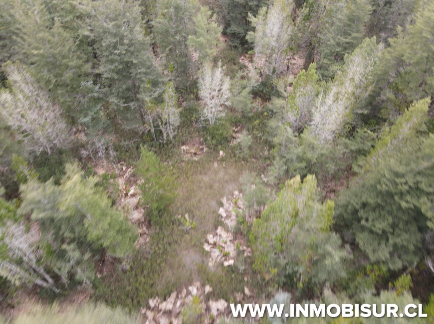 Venta en Puerto Varas | Hermosa parcela en Venta en Ensenada, Parque Los Volcanes