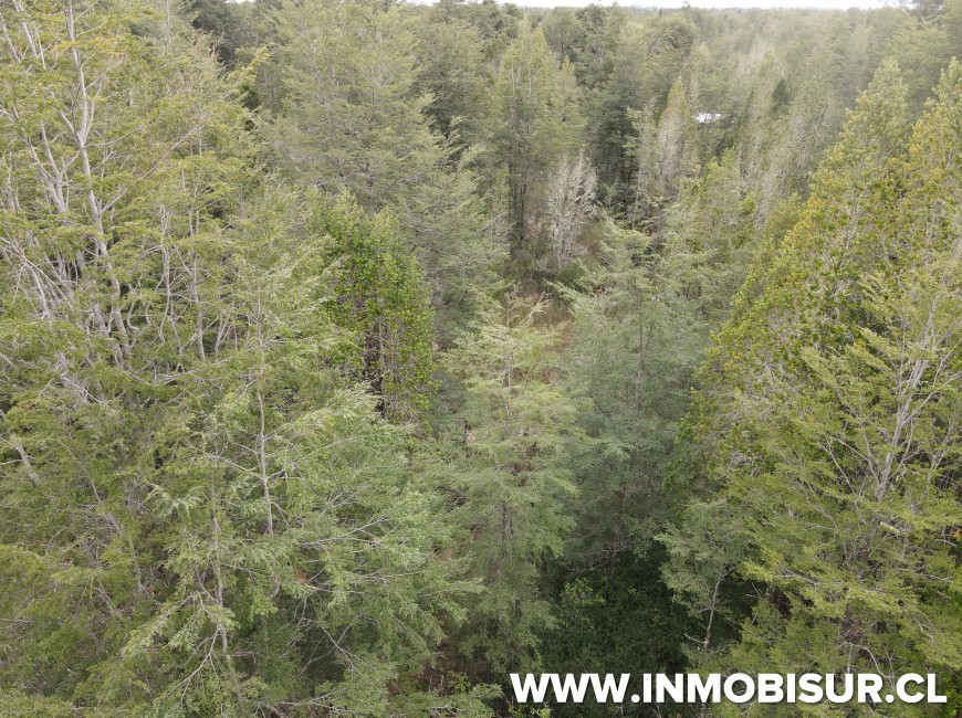 Venta en Puerto Varas | Hermosa parcela en Venta en Ensenada, Parque Los Volcanes