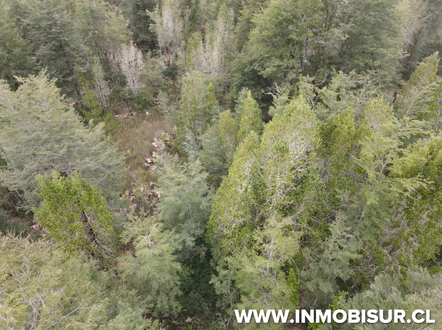 Venta en Puerto Varas | Hermosa parcela en Venta en Ensenada, Parque Los Volcanes