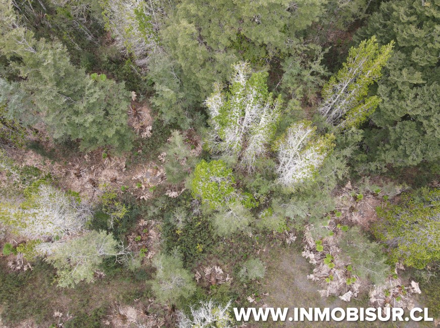 Venta en Puerto Varas | Hermosa parcela en Venta en Ensenada, Parque Los Volcanes