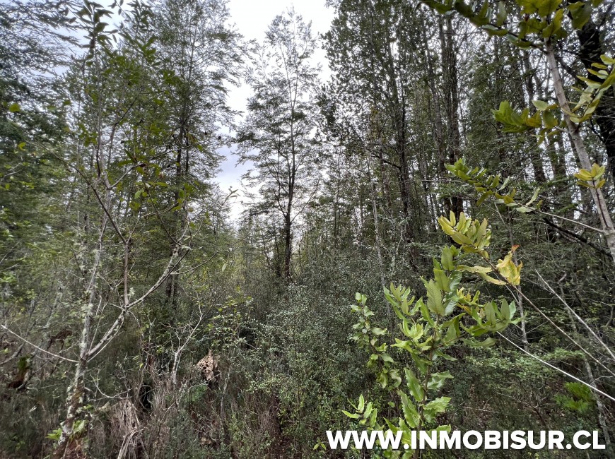 Venta en Puerto Varas | Hermosa parcela en Venta en Ensenada, Parque Los Volcanes