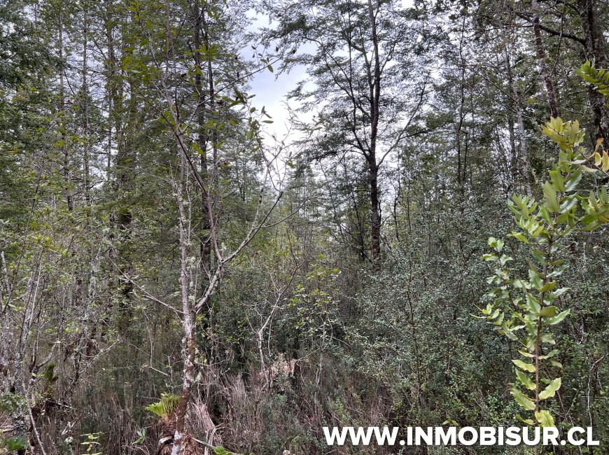 Venta en Puerto Varas | Hermosa parcela en Venta en Ensenada, Parque Los Volcanes