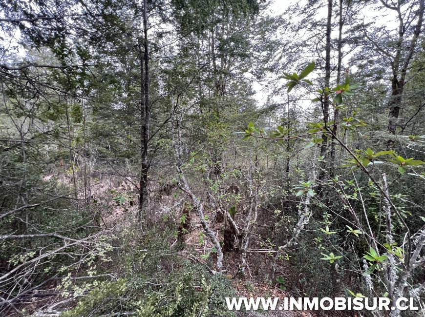 Venta en Puerto Varas | Hermosa parcela en Venta en Ensenada, Parque Los Volcanes