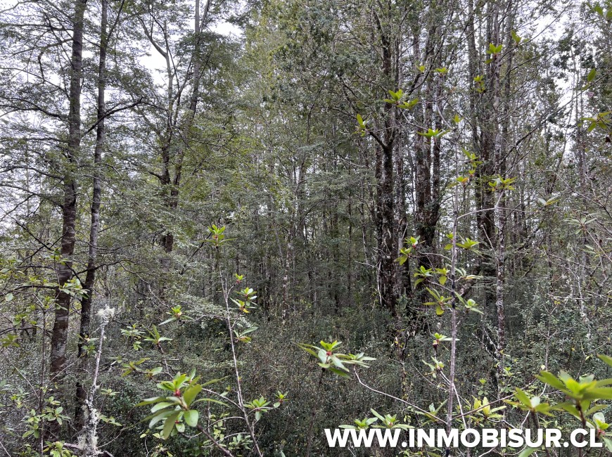 Venta en Puerto Varas | Hermosa parcela en Venta en Ensenada, Parque Los Volcanes