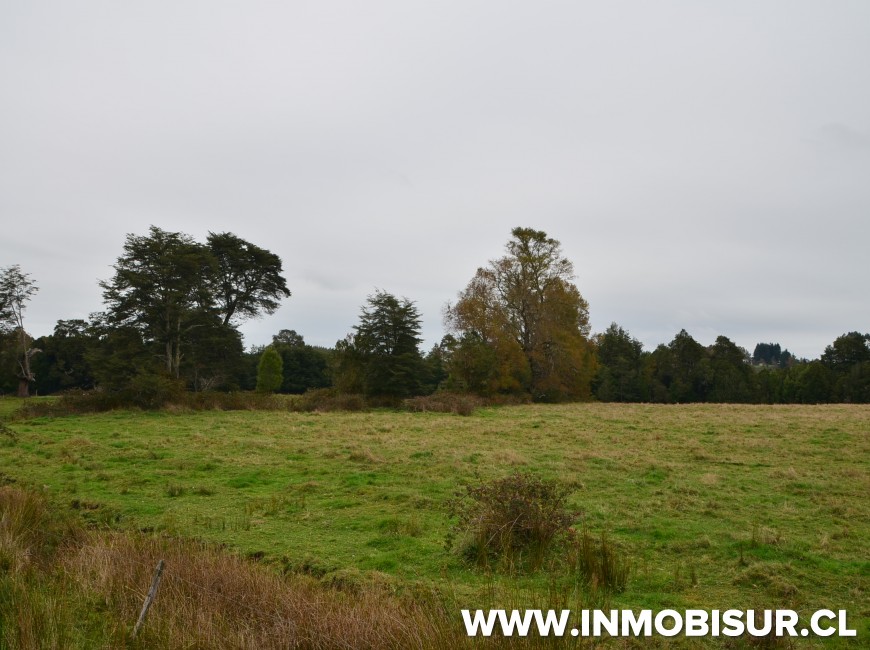 Venta en Los Muermos | Hermoso campo en Rio Frio.