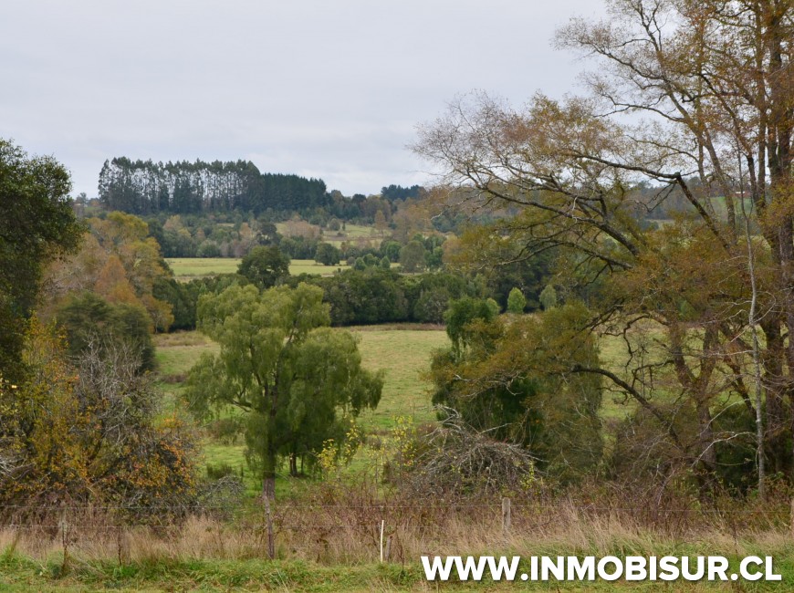 Venta en Los Muermos | Hermoso campo en Rio Frio.