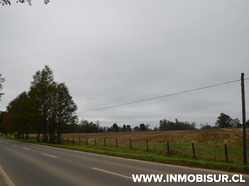 Venta en Los Muermos | Hermoso campo en Rio Frio.