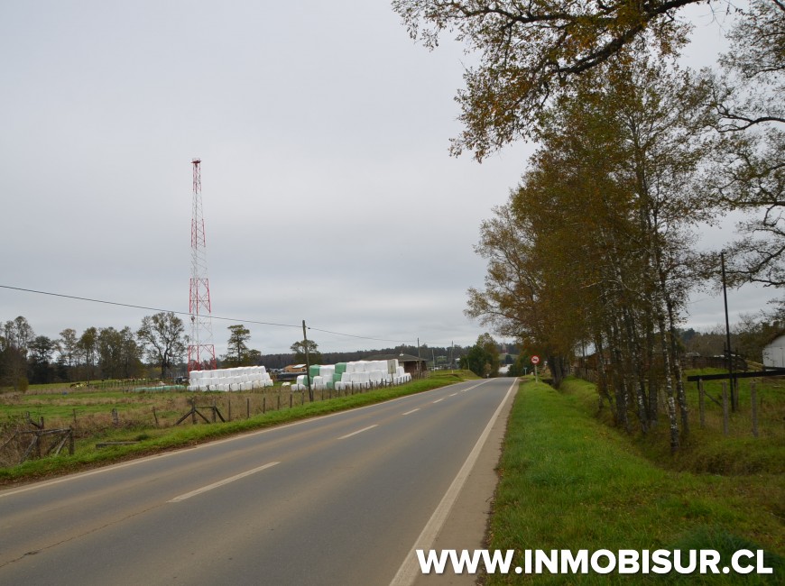Venta en Los Muermos | Hermoso campo en Rio Frio.