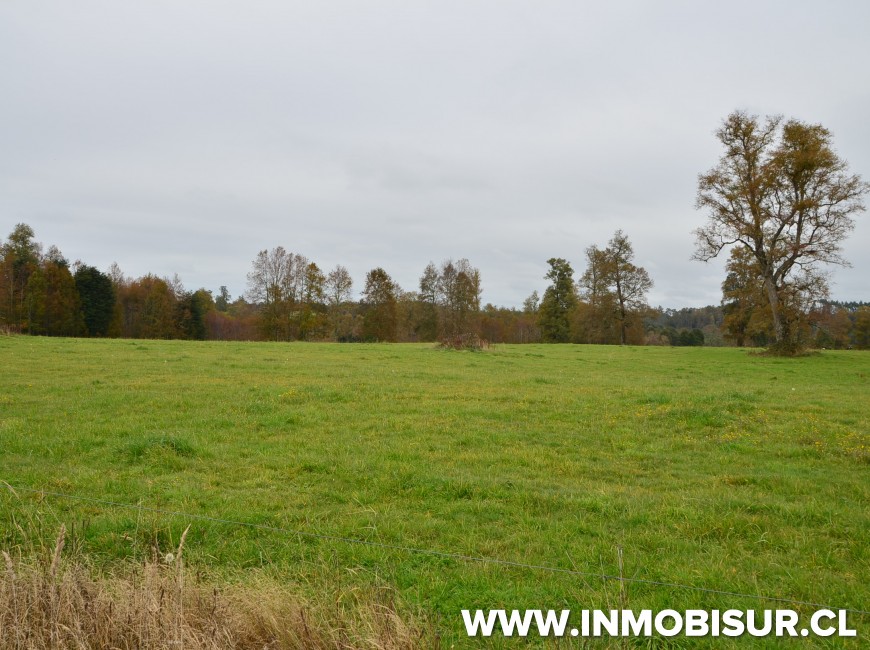 Venta en Los Muermos | Hermoso campo en Rio Frio.
