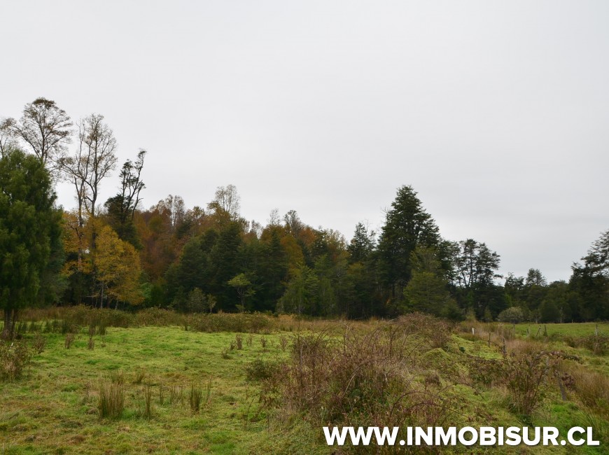 Venta en Los Muermos | Hermoso campo en Rio Frio.