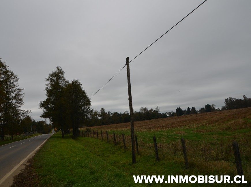 Venta en Los Muermos | Hermoso campo en Rio Frio.