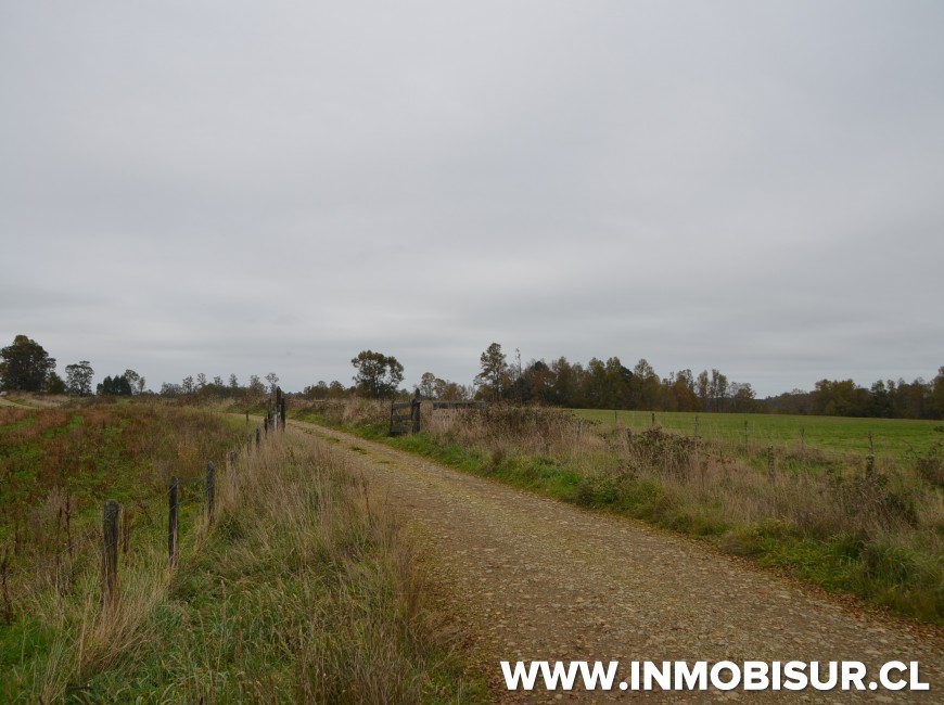 Venta en Los Muermos | Hermoso campo en Rio Frio.