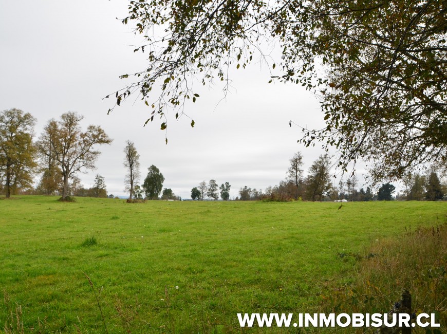 Venta en Los Muermos | Hermoso campo en Rio Frio.