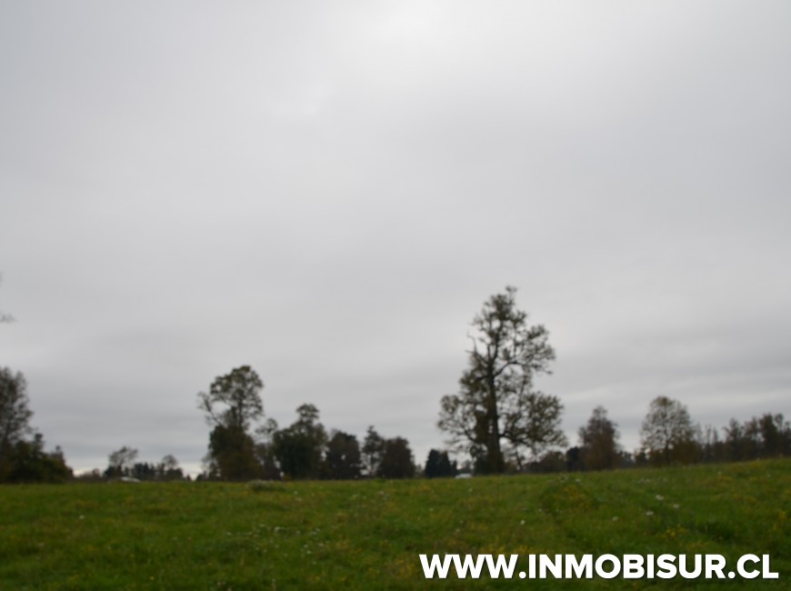 Venta en Los Muermos | Hermoso campo en Rio Frio.