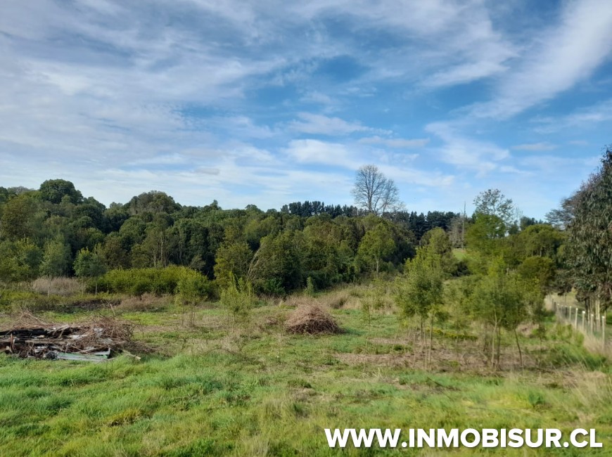 Venta en Fresia | Linda parcela a la venta en Fresia