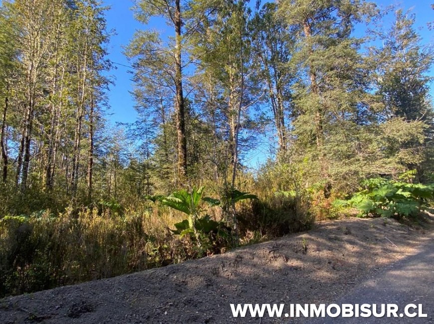 Venta en Puerto Varas | Linda parcela en Venta en Ensenada, Parque Los Volcanes