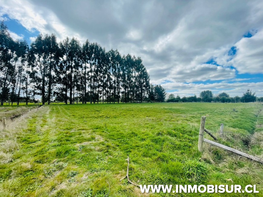 Venta en Frutillar | Lindas parcelas a la venta en Colonia la Radio, Frutillar