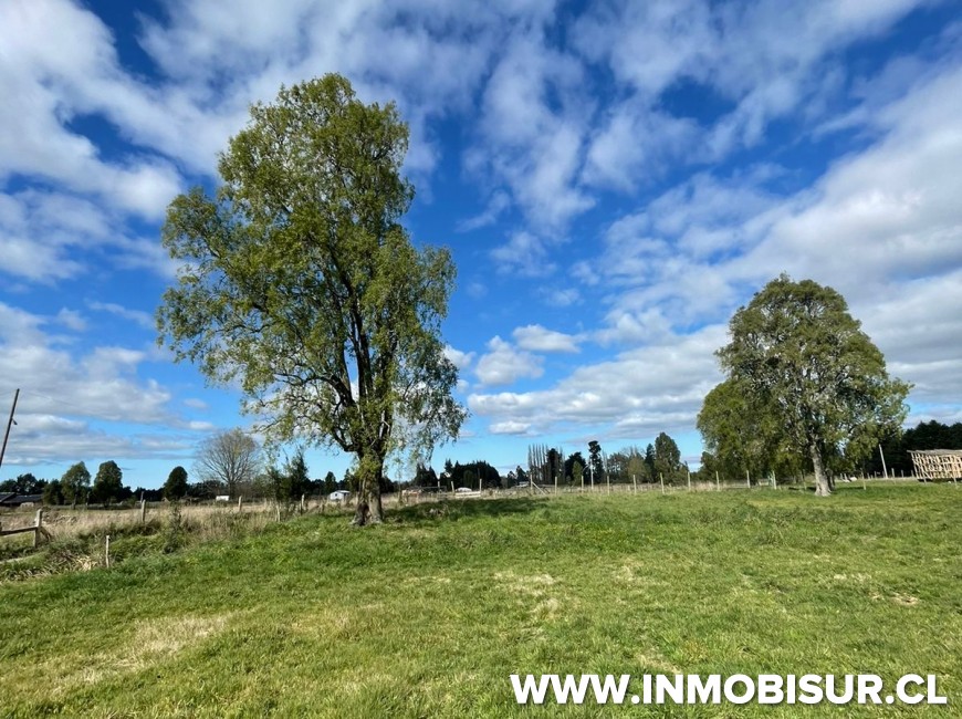 Venta en Frutillar | Lindas parcelas a la venta en Colonia la Radio, Frutillar