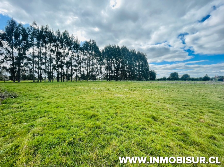 Venta en Frutillar | Lindas parcelas a la venta en Colonia la Radio, Frutillar