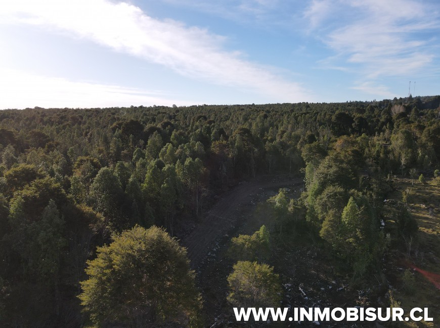 Venta en Puerto Varas | Lindas parcelas a la venta en sector de Colonia Rio Sur