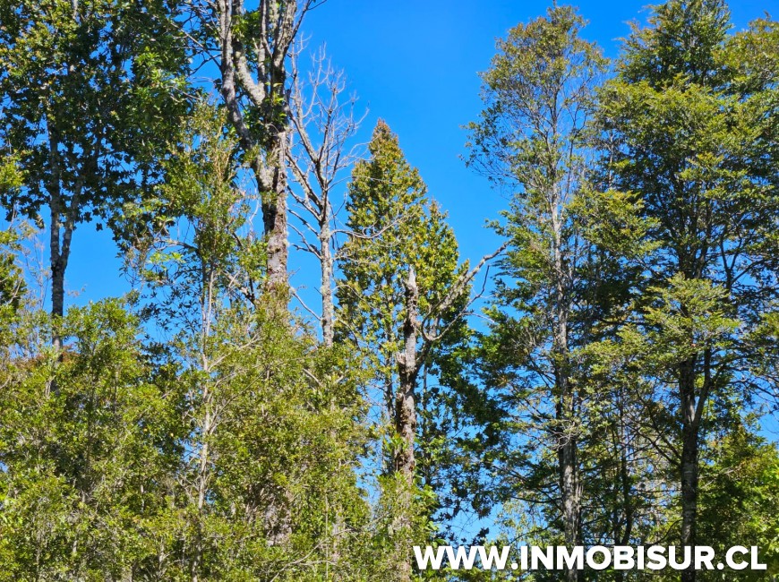 Venta en Puerto Varas | Lindas parcelas a la venta en sector de Colonia Rio Sur