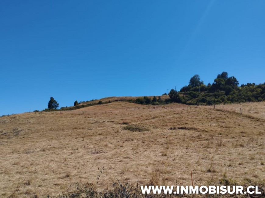 Venta en Frutillar | Lindas parcelas a la venta en sector playa Maqui, Frutillar