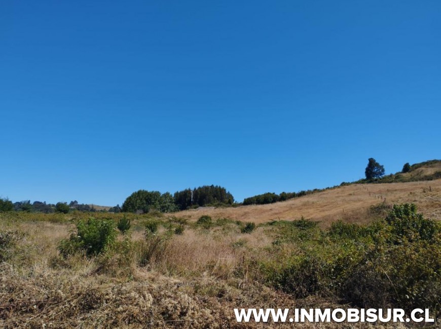 Venta en Frutillar | Lindas parcelas a la venta en sector playa Maqui, Frutillar