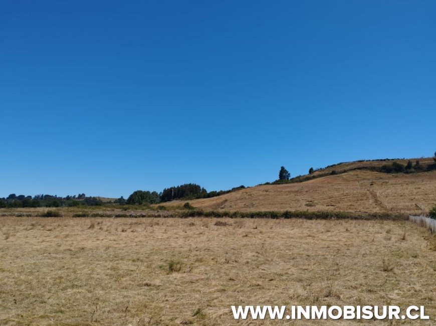 Venta en Frutillar | Lindas parcelas a la venta en sector playa Maqui, Frutillar