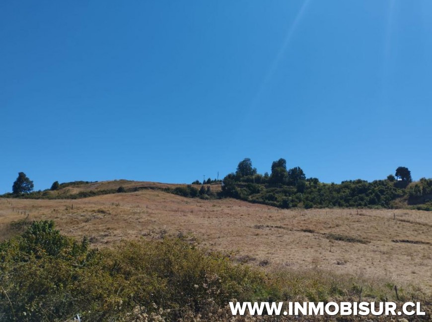 Venta en Frutillar | Lindas parcelas a la venta en sector playa Maqui, Frutillar