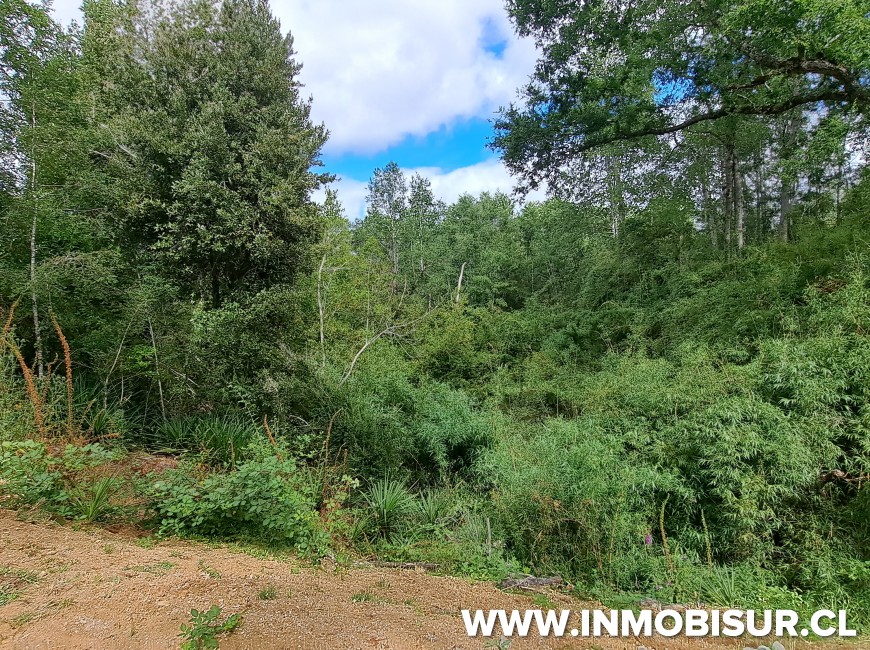 Venta en Fresia | Loteo de 50 parcelas terminadas para venta