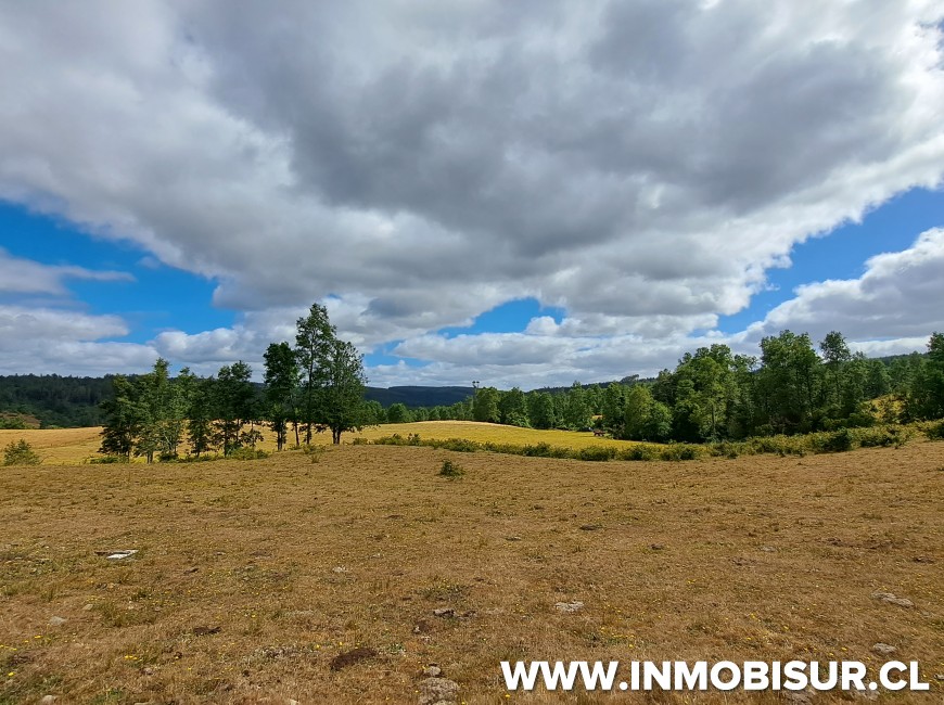 Venta en Fresia | Loteo de 50 parcelas terminadas para venta