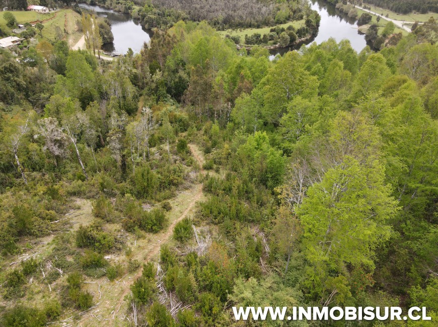 Venta en Fresia | Oportunidad de inversión en sector los Cañones, camino Llico Bajo