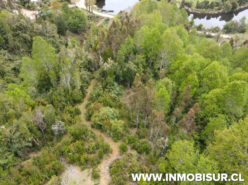 Venta en Fresia | Oportunidad de inversión en sector los Cañones, camino Llico Bajo
