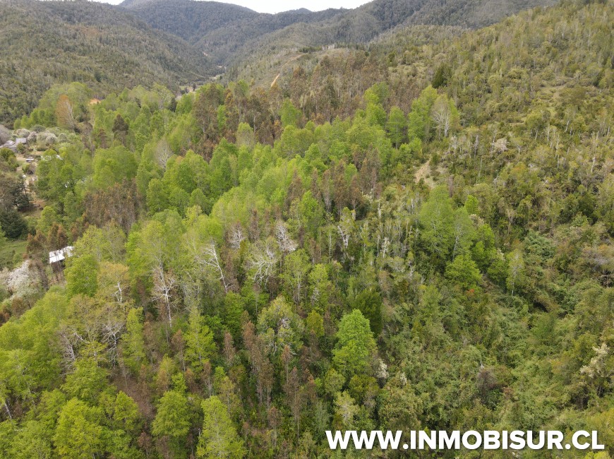 Venta en Fresia | Oportunidad de inversión en sector los Cañones, camino Llico Bajo