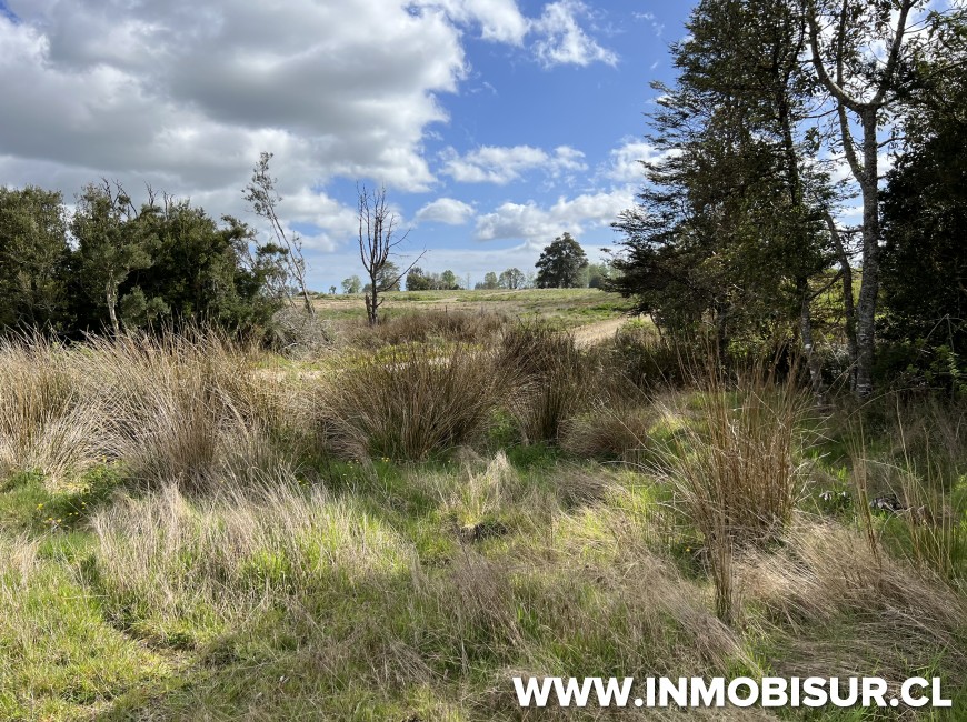 Venta en Puerto Varas | Parcela a la venta en Brisas de Loncotoro