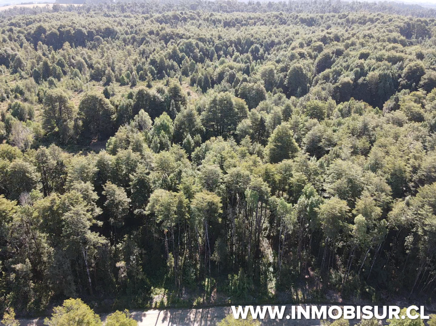 Venta en Puerto Varas | Parcela a la venta en Proyecto la Cascada, Puerto Varas