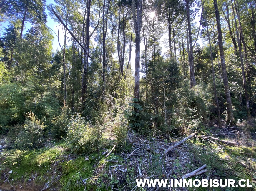 Venta en Puerto Varas | Parcela a la venta en Proyecto la Cascada, Puerto Varas