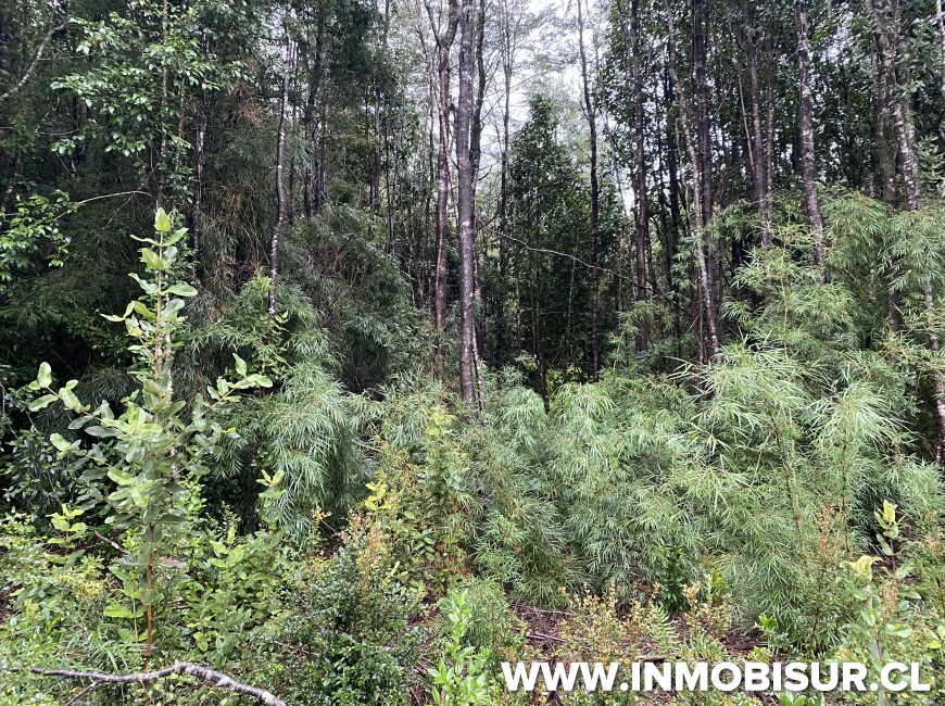 Venta en Puerto Varas | Parcela a la venta Loteo la Cascada Puerto Varas