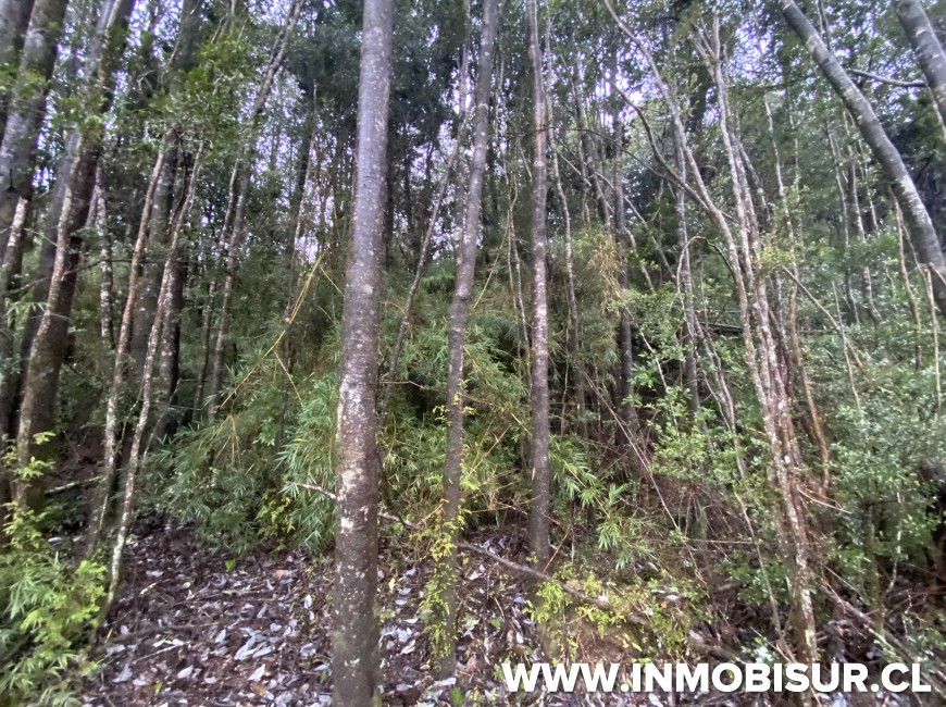 Venta en Puerto Varas | Parcela a la venta Loteo la Cascada Puerto Varas