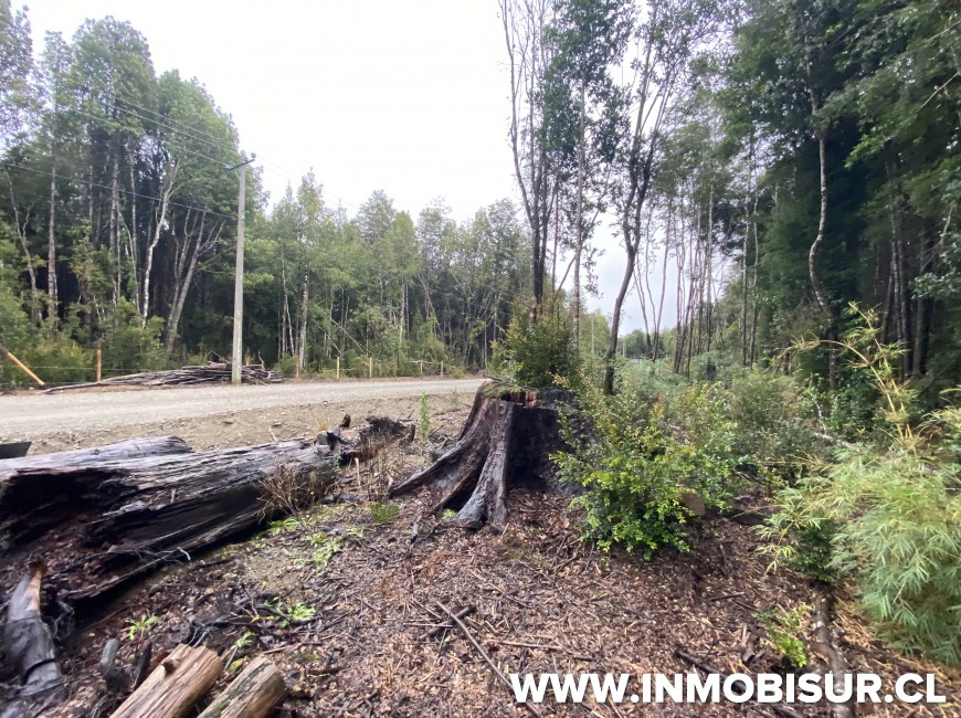 Venta en Puerto Varas | Parcela a la venta Loteo la Cascada Puerto Varas