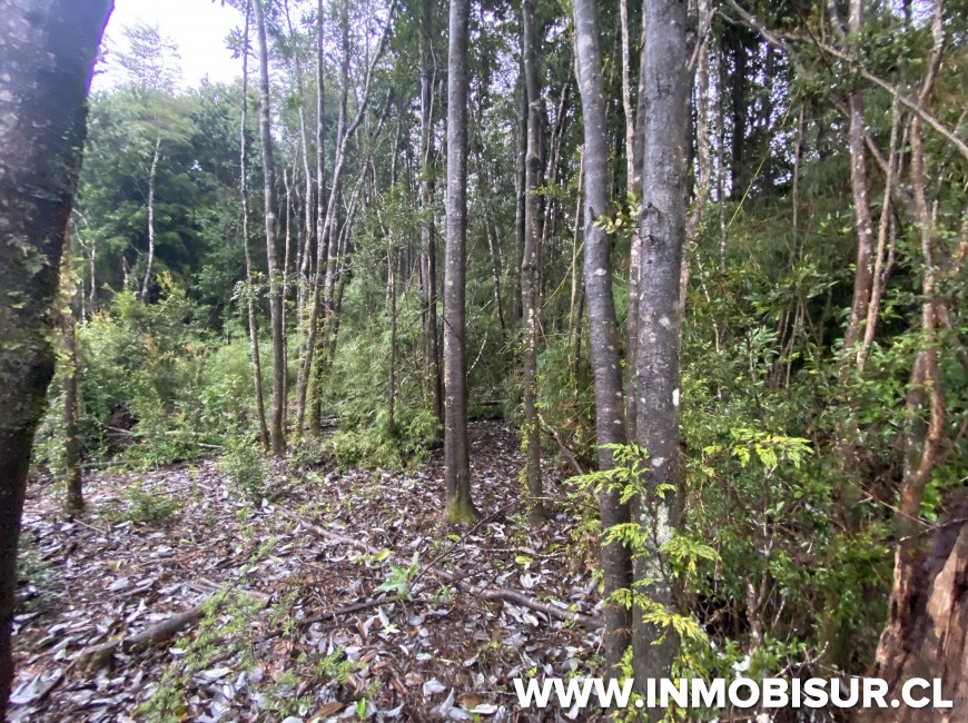 Venta en Puerto Varas | Parcela a la venta Loteo la Cascada Puerto Varas