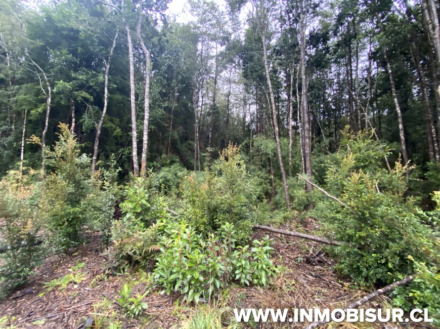 Venta en Puerto Varas | Parcela a la venta Loteo la Cascada Puerto Varas