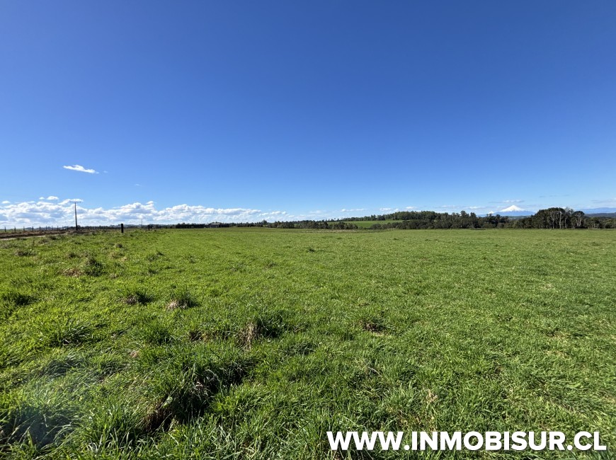 Venta en Puerto Varas | Parcela con Vista a Los Volcanes en Reserva Los Manantiales
