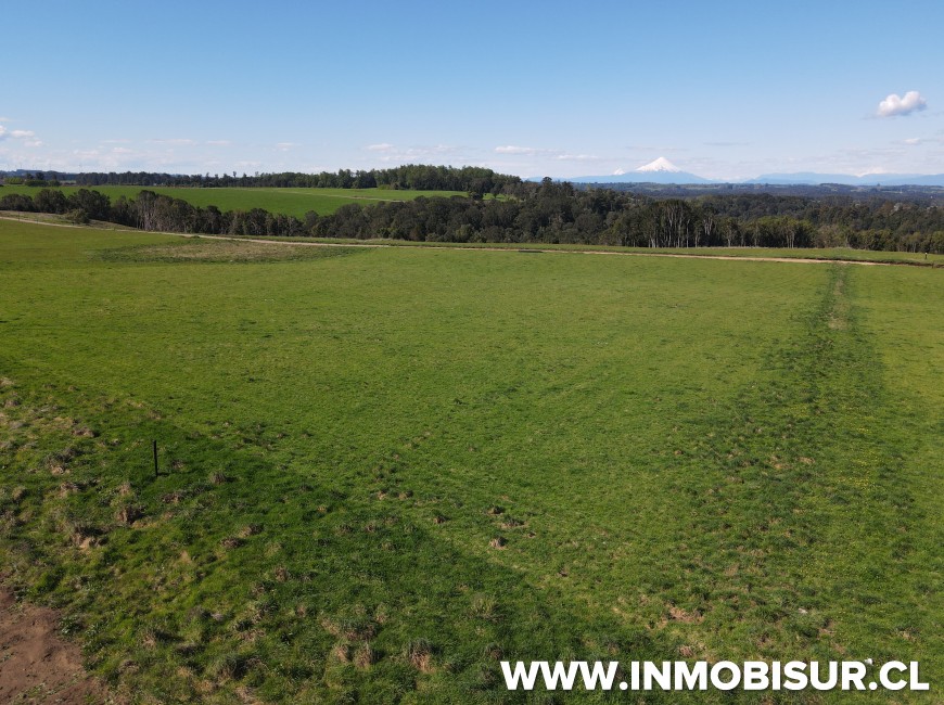 Venta en Puerto Varas | Parcela con Vista a Los Volcanes en Reserva Los Manantiales